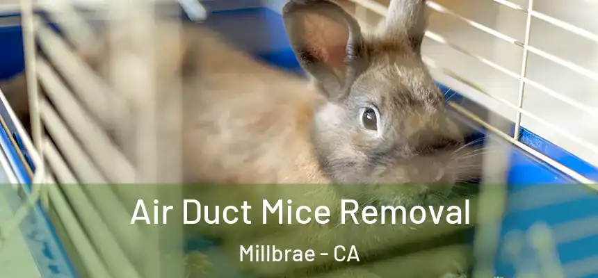 Air Duct Mice Removal Millbrae - CA