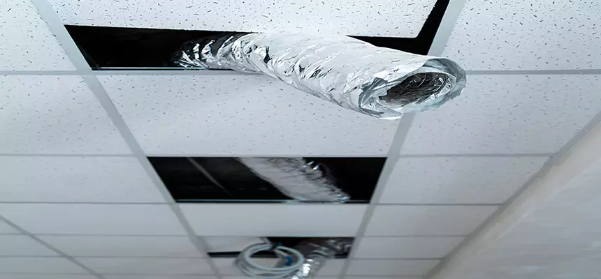 Our Air Duct Pet Hair Removal Services in Millbrae, CA