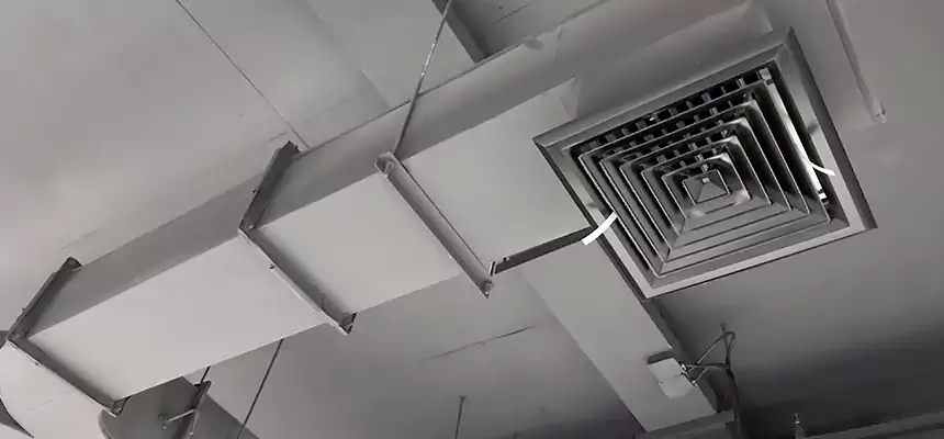 Restorative Allergy Relief Vent Cleaning – Coil, Blower & Housing Detail in Millbrae