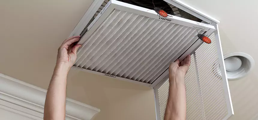 Our Insect Removal from Air Ducts Services in Millbrae, CA