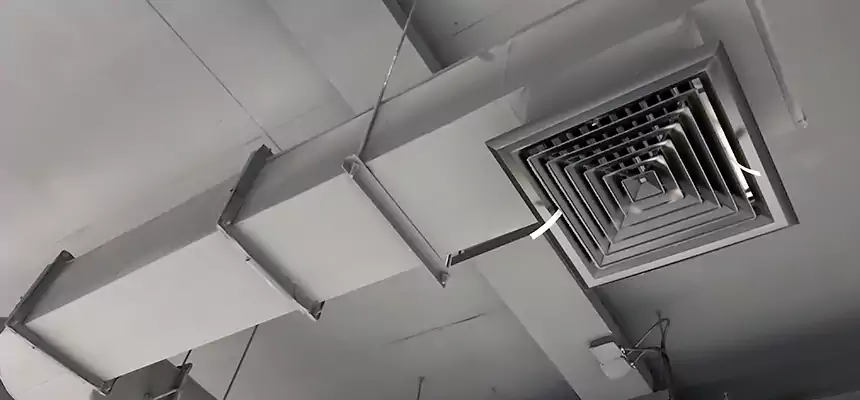 Our Pest Removal From Ducts Services in Millbrae, CA