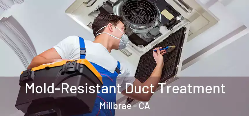 Mold-Resistant Duct Treatment Millbrae - CA