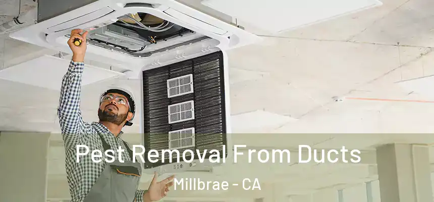  Pest Removal From Ducts Millbrae - CA
