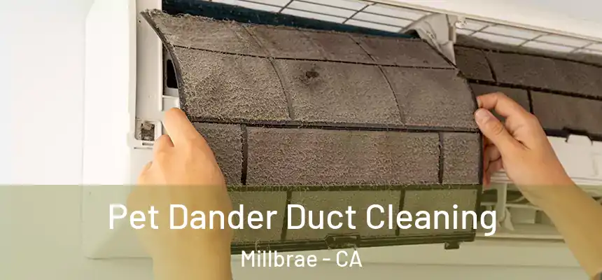 Pet Dander Duct Cleaning Millbrae - CA