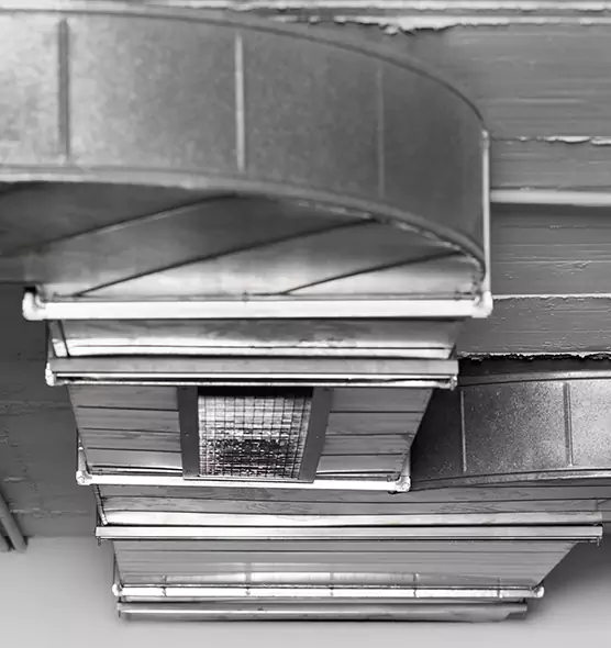 Professional Air Duct Pest Removal in Millbrae, CA