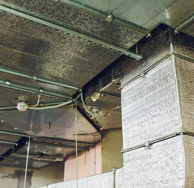 Why Homeowners & Businesses Trust Us in Millbrae, CA?